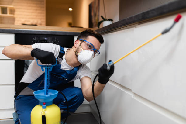 Best Wasp Removal Services  in Joplin, MO