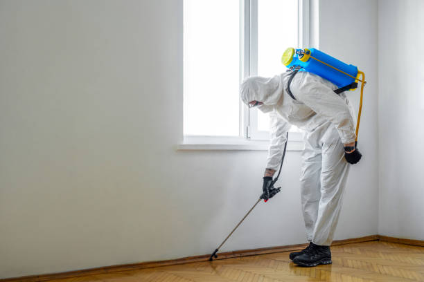 Best Pest Prevention Services  in Joplin, MO