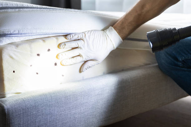 Best Best Pest Control Companies  in Joplin, MO