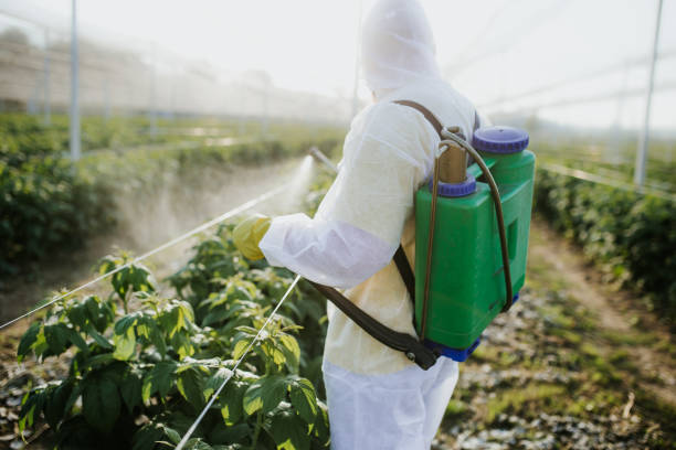 Best Cockroach Control Services  in Joplin, MO